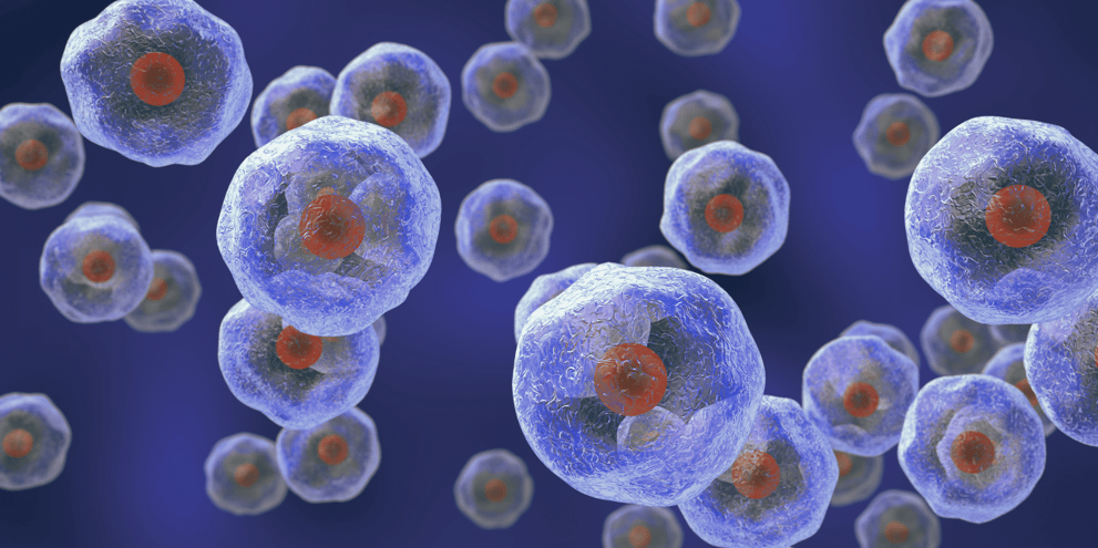 Single Cell Sequencing