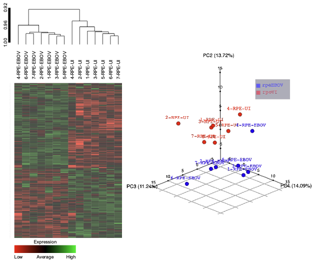 mRNA_DEseq_example