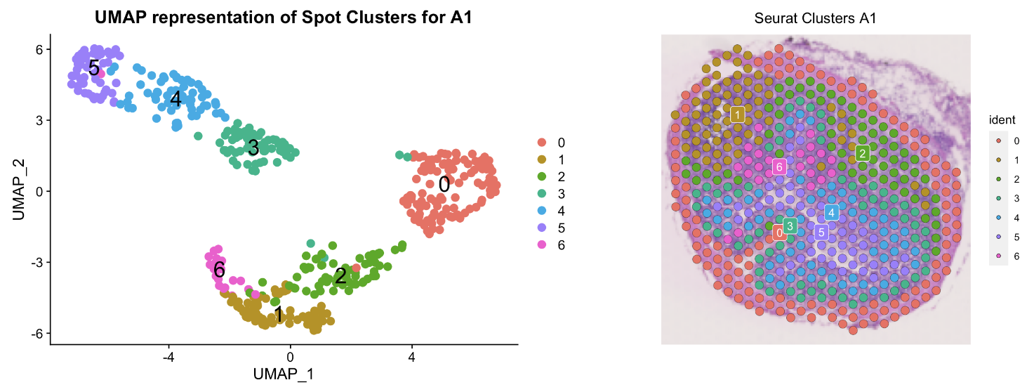 spatialRNAseq_example1